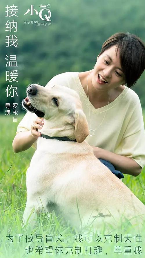 高中毕业证可以补办的吗